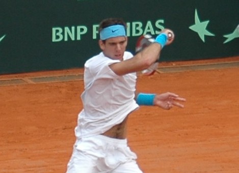 Del Potro sacó adelante un punto valioso