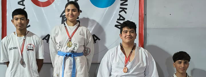 CAPACITACIÓN: Este sábado se realiza la tercera jornada del Diplomado en Artes Marciales, con el acento en el deporte