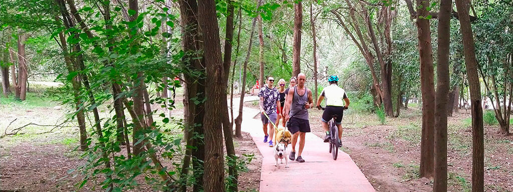 CAMINAR: Hacerlo es bueno para la salud, pero si es rápido, ¡mucho mejor!