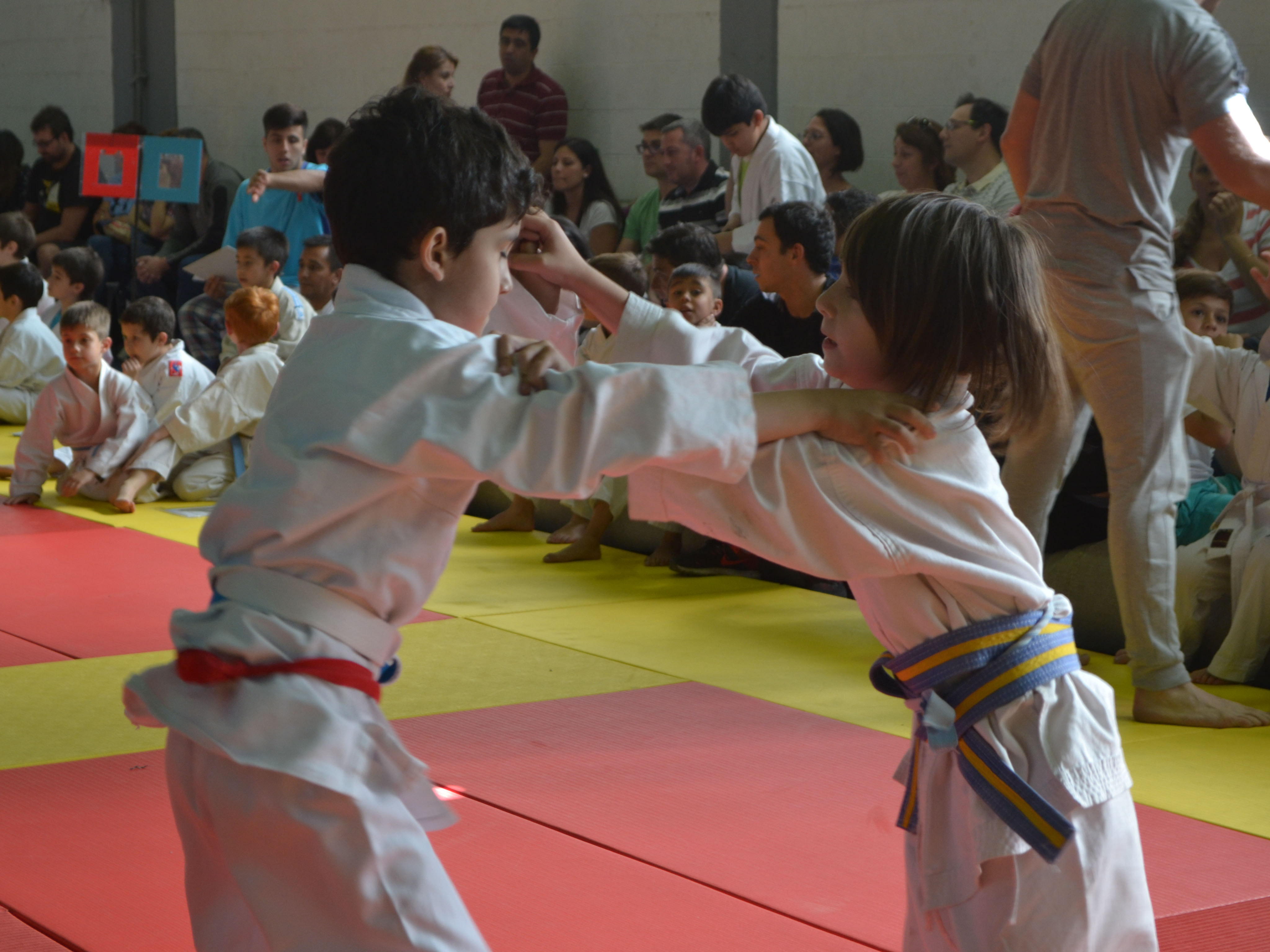 7° Fecha de la Liga de Judo Infantil (LIJI)
