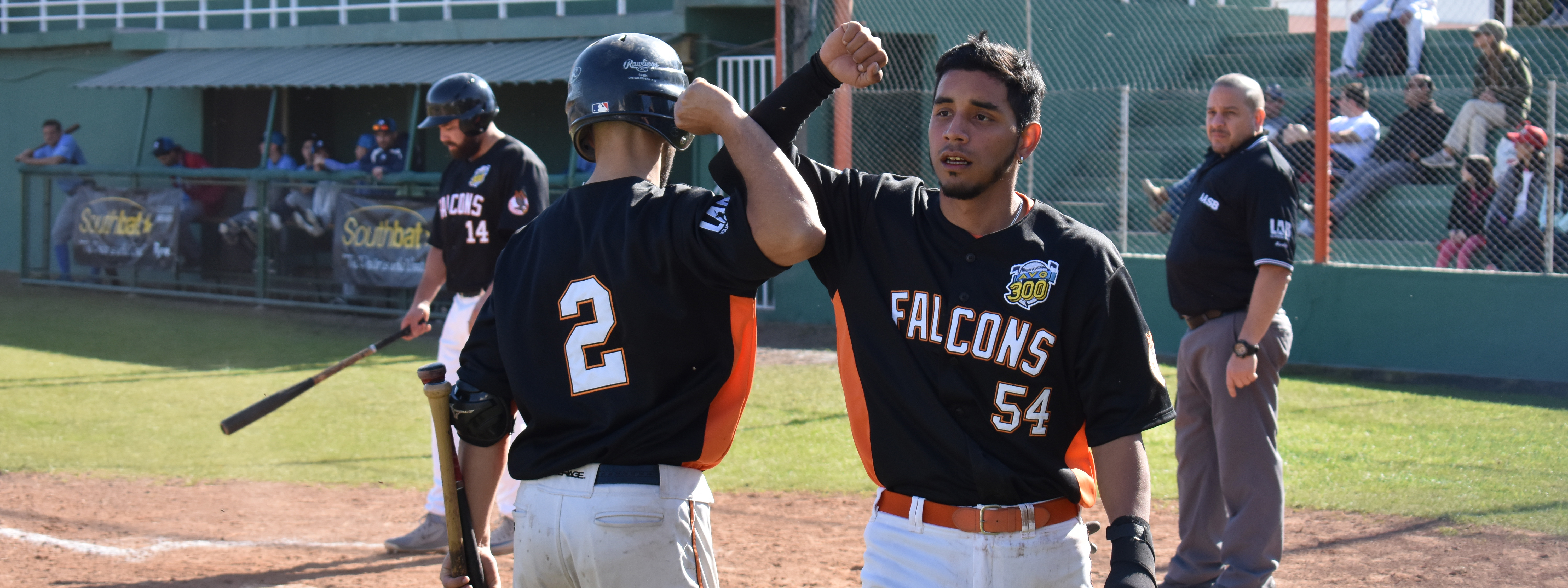 BÃ‰ISBOL: Falcons marcÃ³ diferencias y es lÃ­der de la Zona Sur de la LAB