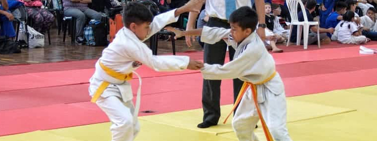 JUDO: En una semana se viene la 7a fecha de la LIJI 2023 y asÃ­ estÃ¡n los rankings