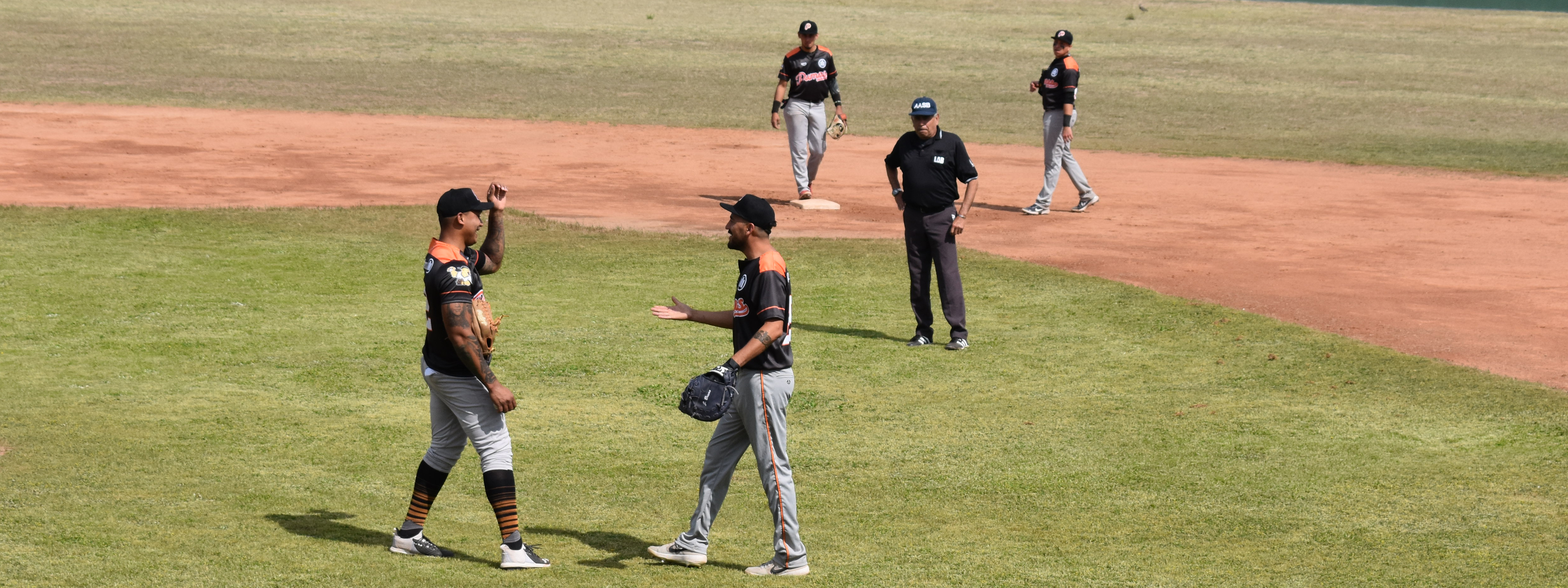 BÃ‰ISBOL: Falcons y Pumas quedaron a mano y el fin de semana esperan el Interprovincial 