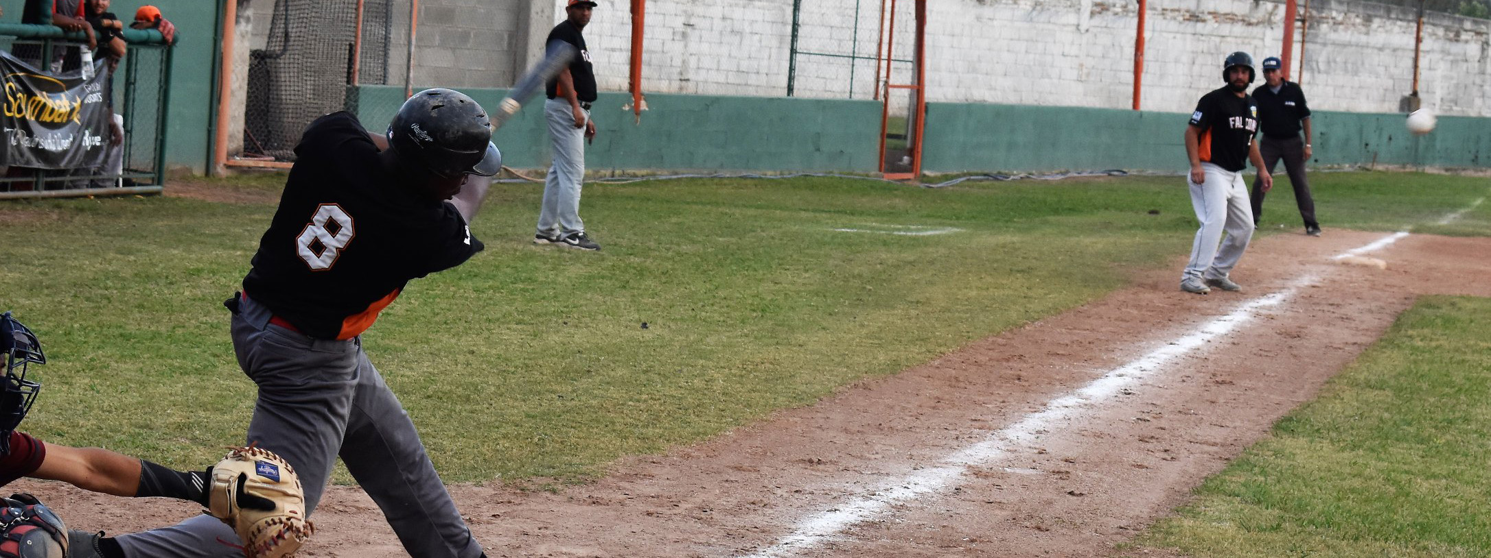 BÃ‰ISBOL: Falcons y Pumas sacan las garras frente a Infernales y Ãguilas en el Interprovincial de la LAB 2022