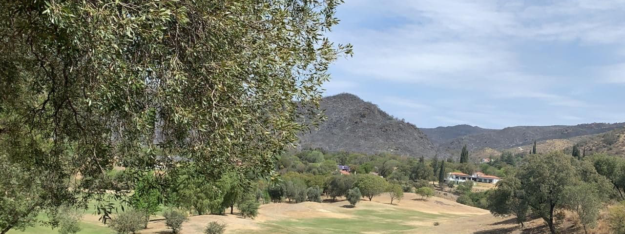 GOLF: DespuÃ©s de mucho batallar, el fuego no alcanzÃ³ a El Potrerillo de Larreta