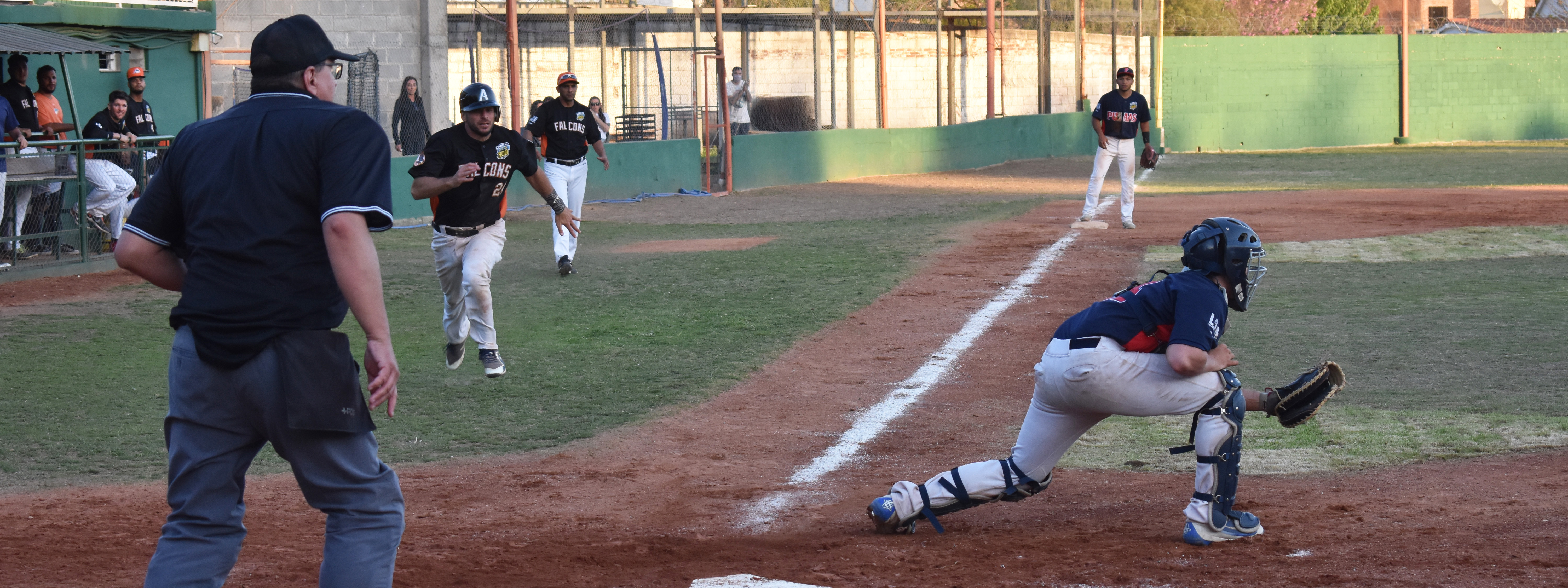 BÃ‰ISBOL: Con dos victorias en jornada doble, Falcons sacÃ³ ventaja sobre Pumas en la Liga Argentina
