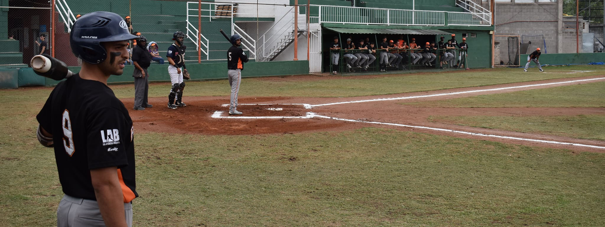 BÉISBOL: Falcons perdió el liderazgo pero tiene el panorama completo en los Interregionales de la LAB 2024