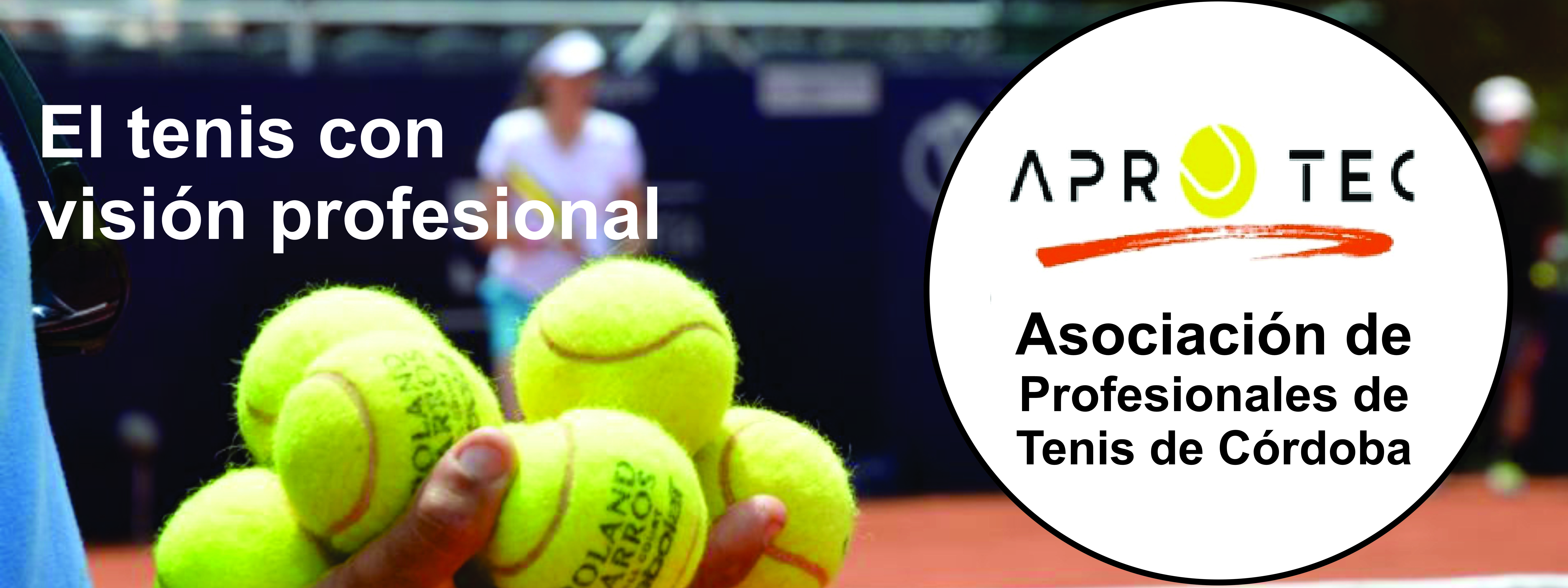 TENIS: NaciÃ³ APROTEC, la AsociaciÃ³n que serÃ¡ soporte de los profesionales del tenis