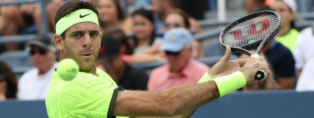 TENIS:  Del Potro se retirÃ³ con aplausos