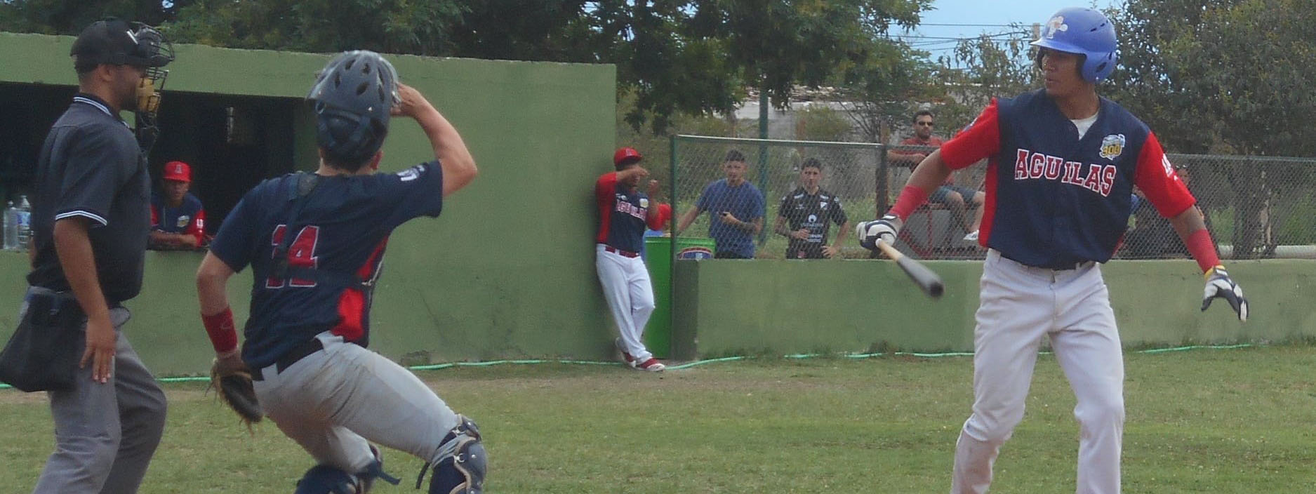BÃ‰ISBOL: Pumas ampliÃ³ su ventaja y Falcons se sostiene como escolta en la Liga Argentina 2021