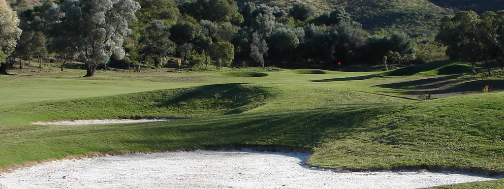 GOLF: El premio Nicasia se disputÃ³ entre muchos 