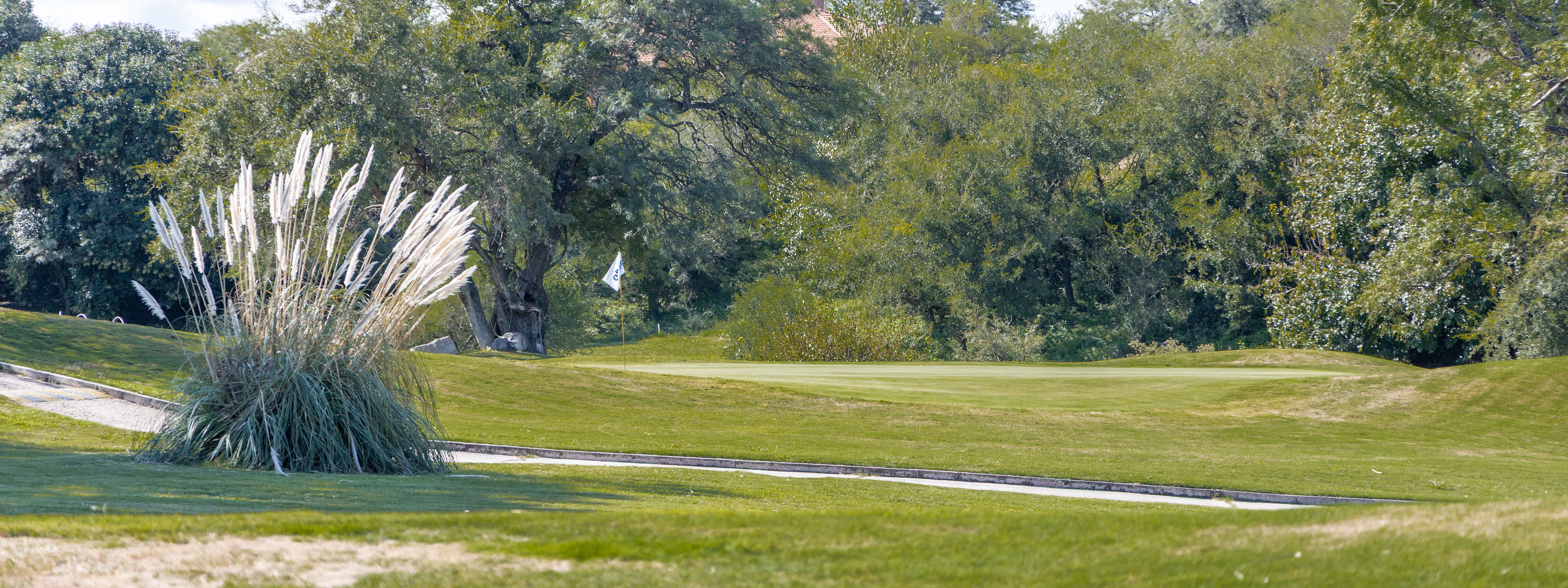 GOLF: Alex y Justo Zuberbuhler se quedaron con el torneo Padres e Hijos en El Potrerillo de Larreta
