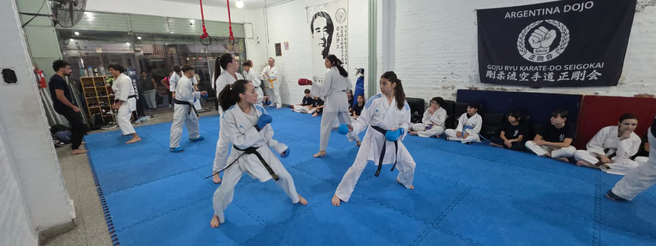KARATE: La Goju Ryu Seigokan busca cerrar la temporada con los podios del Provincial de la UCKF