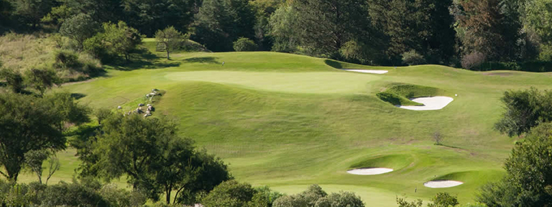 GOLF: El 18 de El Potrerillo de Larreta casi le frustra la victoria a Andy Schonbaum (h)