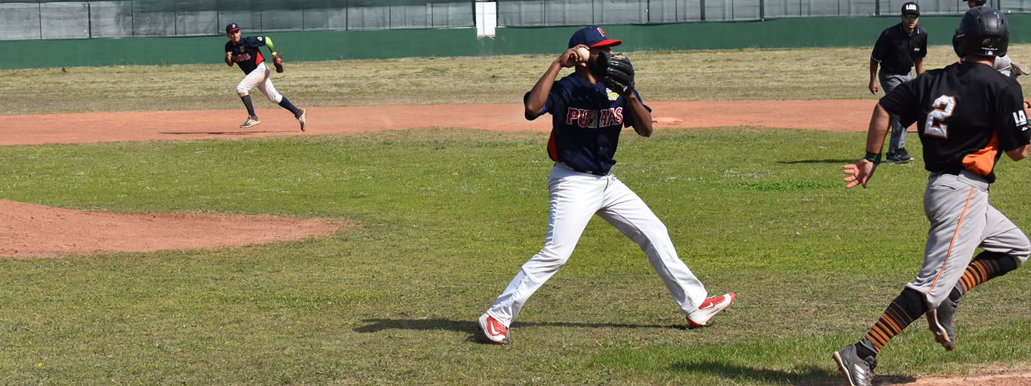 BÃ‰ISBOL: Pumas se despegÃ³ en la cima y puso un pie en la final de la Liga Argentina de BÃ©isbol