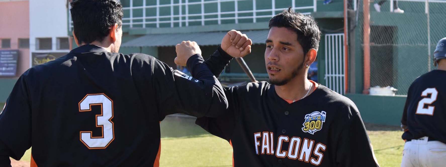 BÃ‰ISBOL: Con Falcons, confirmaron cuatro franquicias y habrÃ¡ Liga Argentina 2020