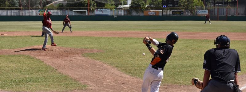BÉISBOL: Con Falcons como cómodo lÃder, este fin de semana llegan los cruces con Popeye y Cachorros por la LAB 2024