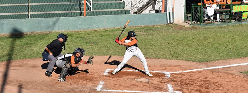 BÃ‰ISBOL: Dolphins recibe a Arias por la semifinal del torneo domÃ©stico de Primera