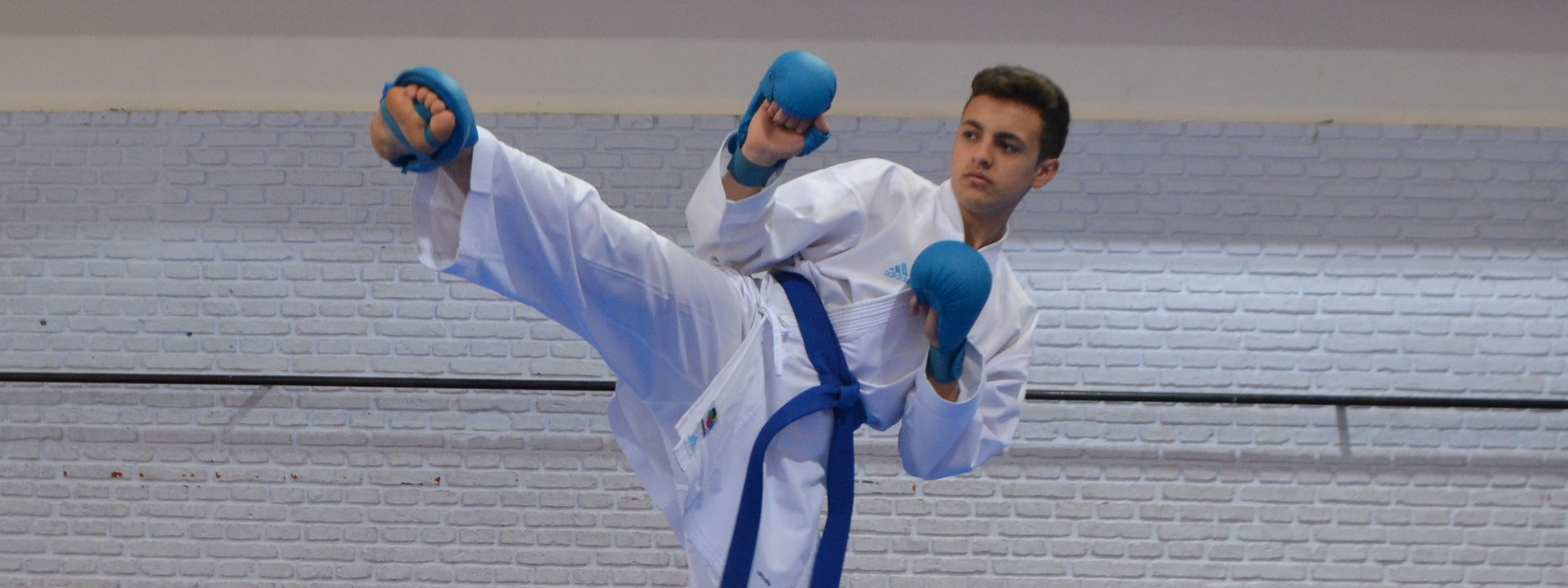 KARATE: La Shito Ryu se volvió con una buena cosecha de Tucumán