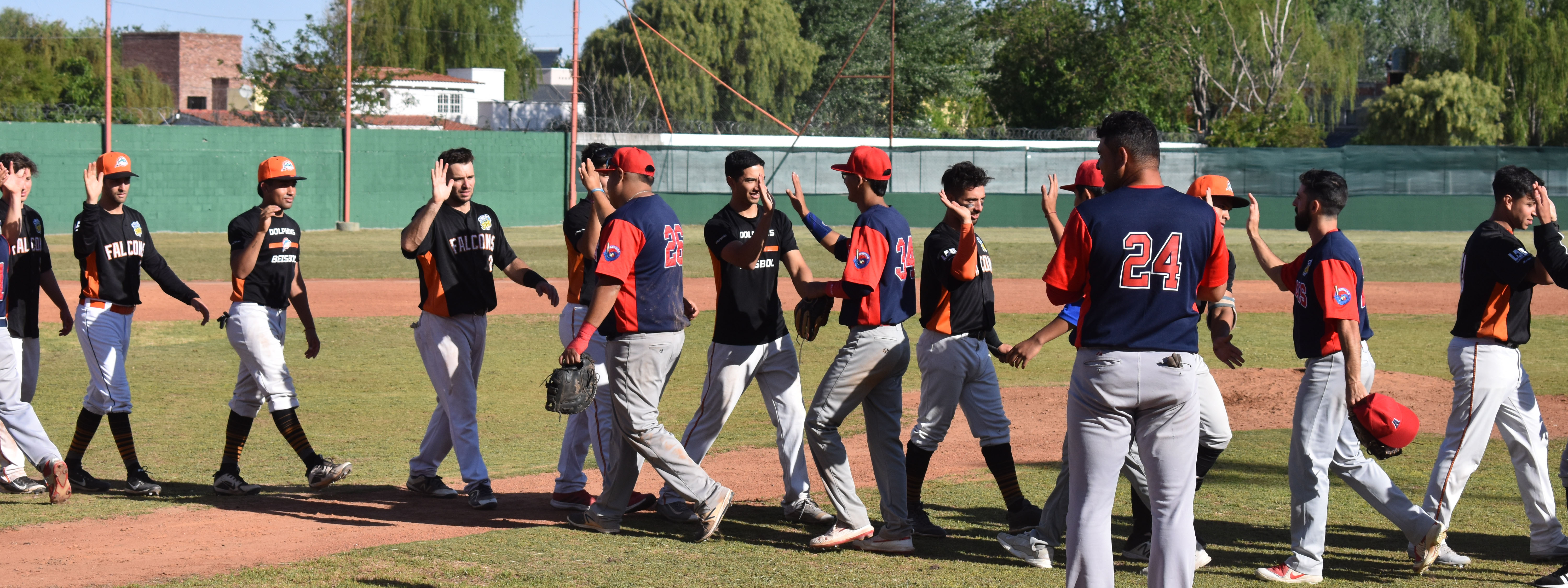 BÃ‰ISBOL: Falcons volÃ³ alto en el Interzonal de la LAB y los mira a todos desde arriba