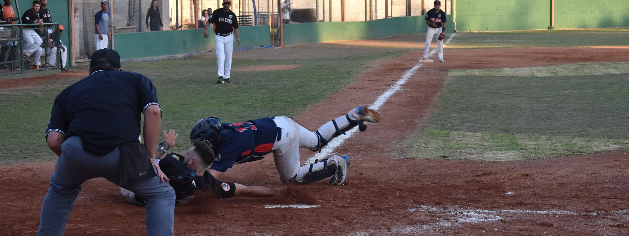 BÃ‰ISBOL: Desde este viernes, Pumas y Falcons buscan consolidar las distancias en el Interzonal de la Liga Argentina 2021