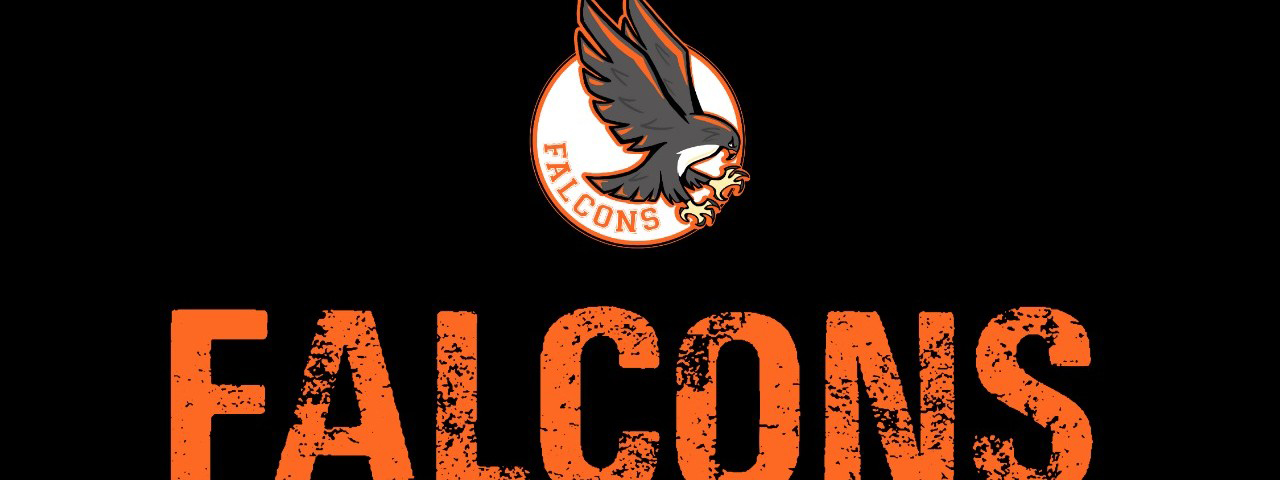 BÃ‰ISBOL: Falcons, el equipo que tiene su sello grabado a fuego en la Liga Argentina