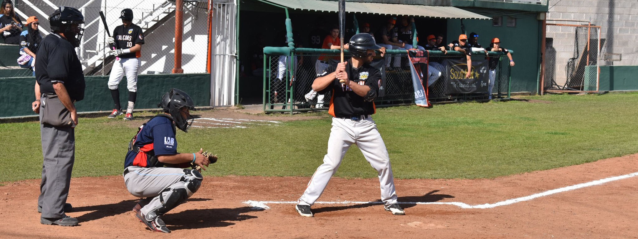 #LABÃ©isbol: Falcons estirÃ³ la racha y gana confianza para la postemporada de la LAB 2019
