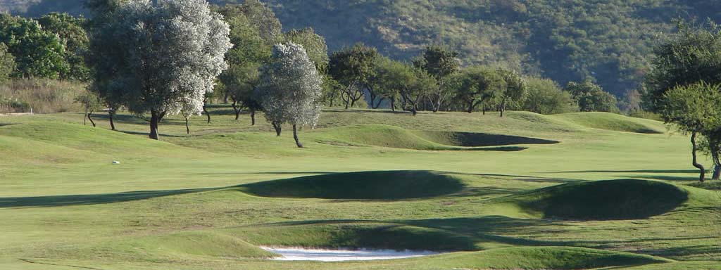 GOLF: Para FÃ©lix Torres, la cancha de El Potrerillo de Larreta fue menos difÃ­cil