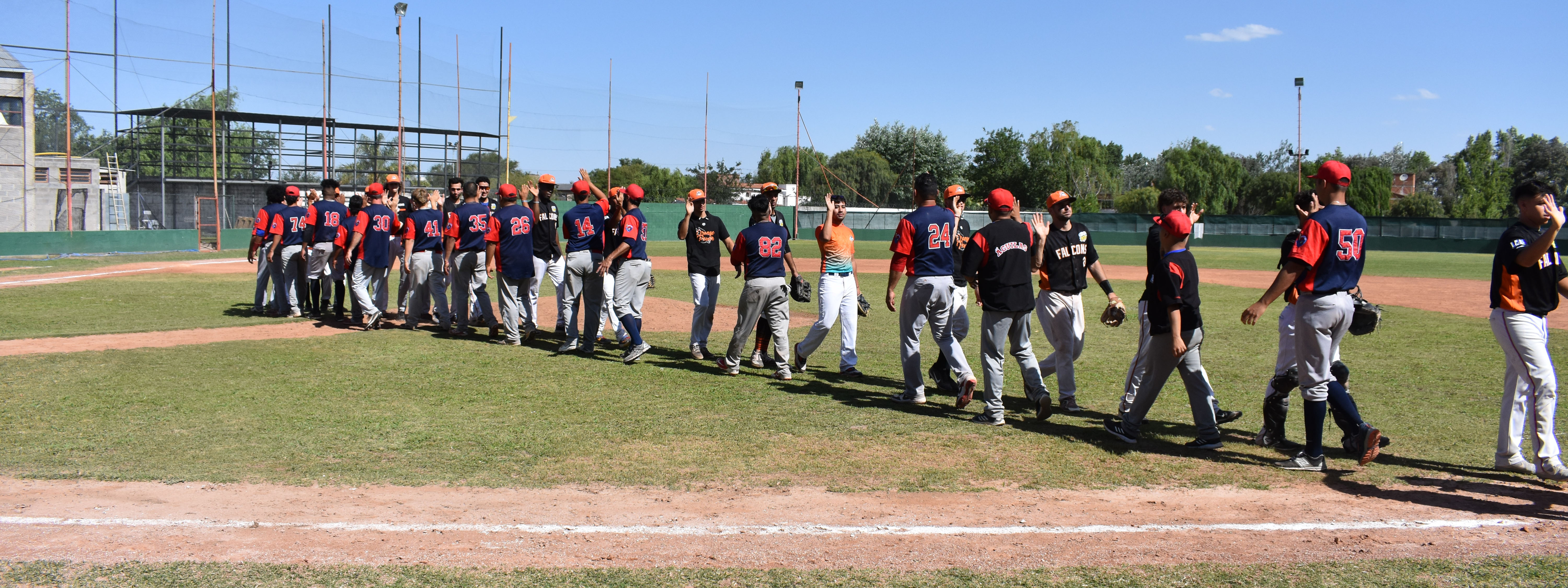 BÃ‰ISBOL: ArrancÃ³ el Interzonal de la LAB con sonrisas de Falcons e Infernales