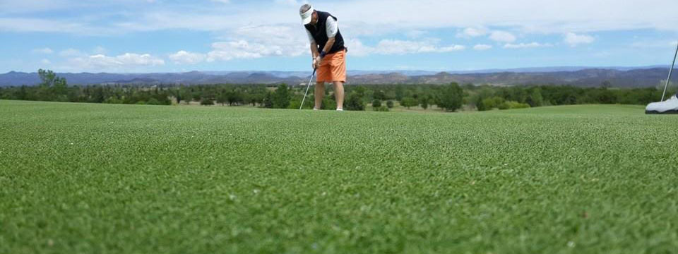 GOLF: Carlos Goya se quedÃ³ con la Scratch en El Potrerillo