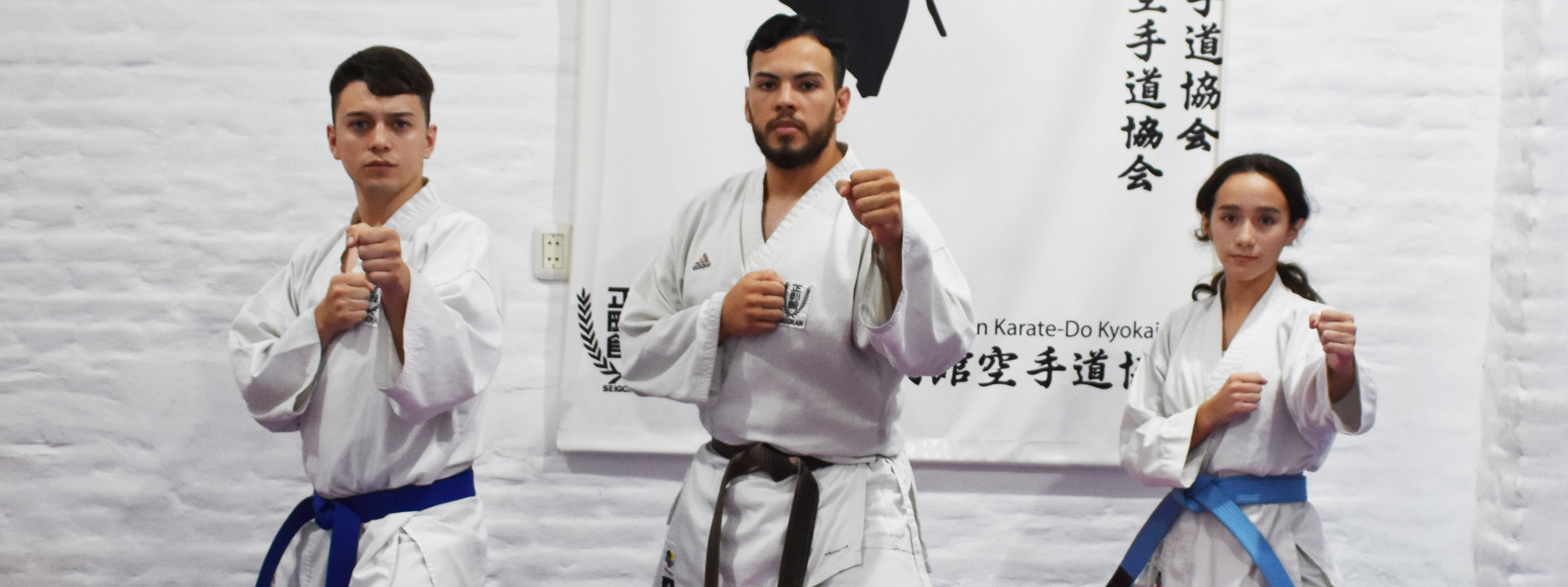 KARATE: La Goju Ryu Seigokan busca retener su supremacÃ­a en el Provincial de la UCKF