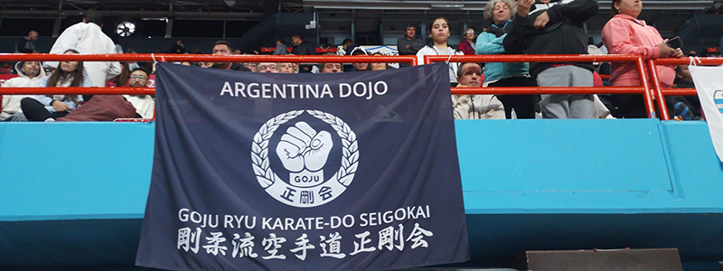 KARATE: Con 92 medallas, la Goju Ryu Seigokan arrasÃ³ en el Provincial de la UCKF