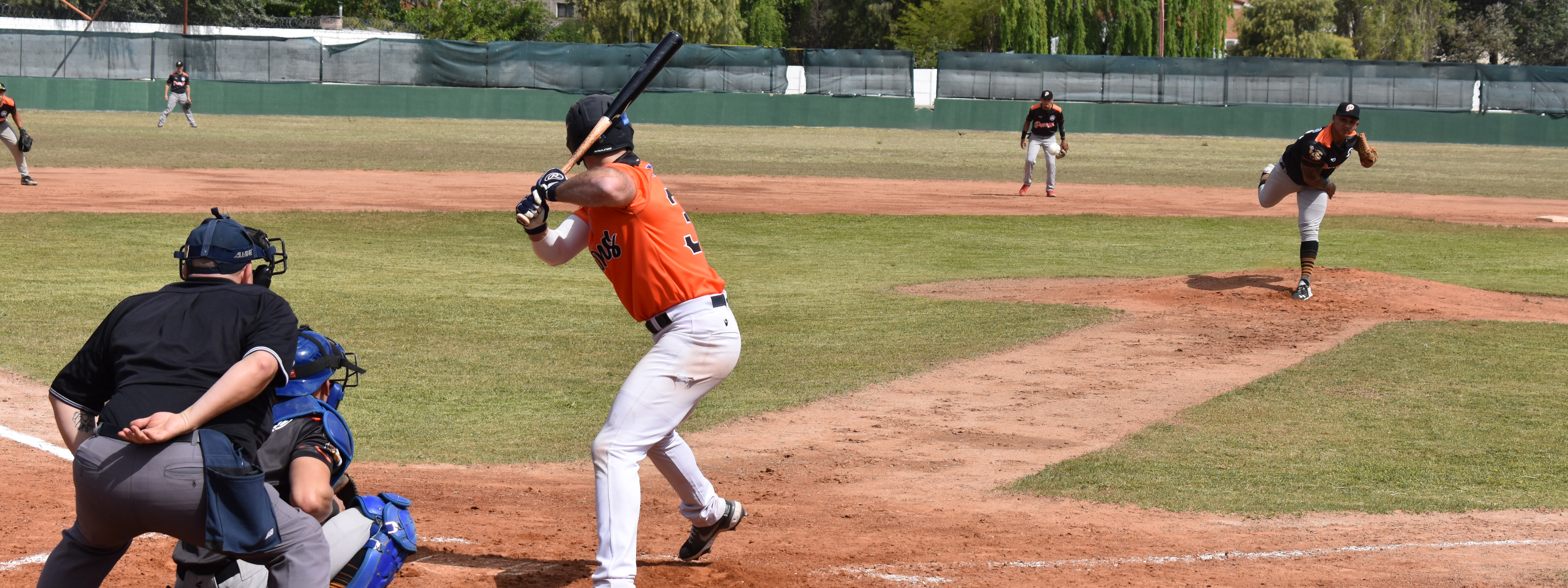 BÃ‰ISBOL: En la Liga Argentina, Falcons es una mÃ¡quina y Pumas lo sufriÃ³ otra vez