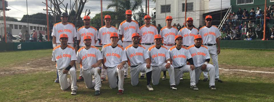 LIGA ARGENTINA: La historia pasÃ³ por Dolphins y le regalÃ³ el triunfo de Falcons