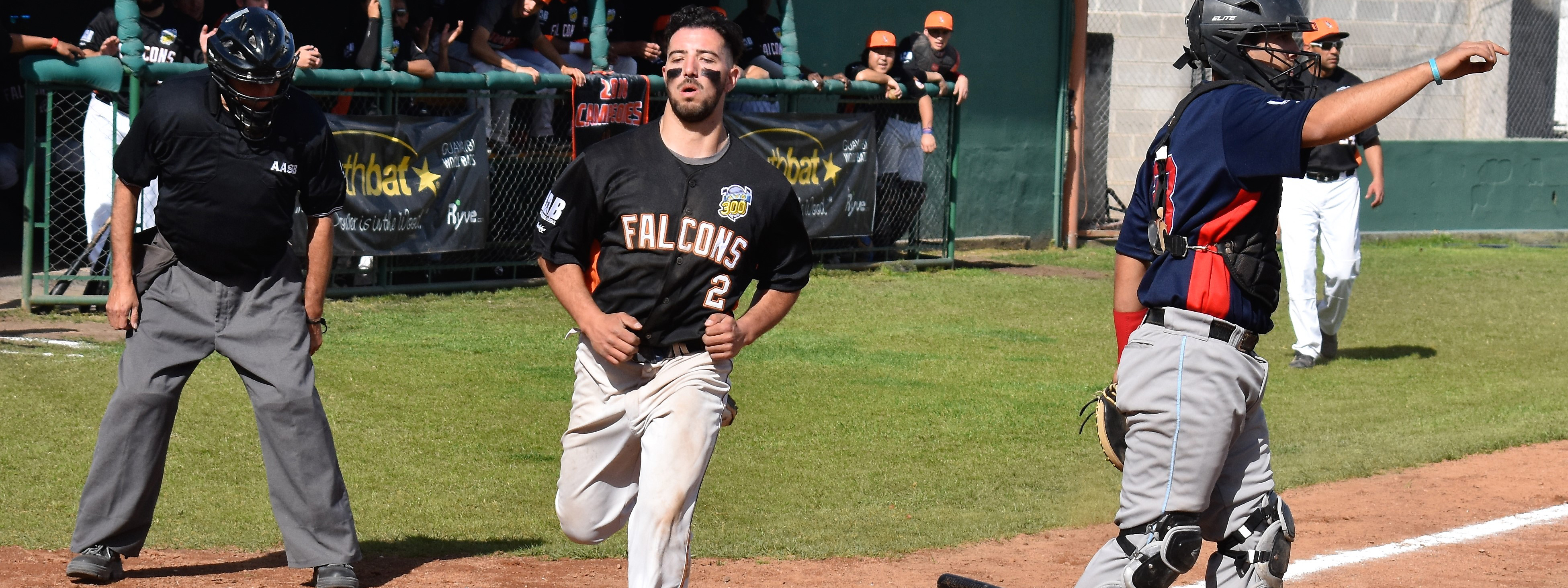 BÃ‰ISBOL: Falcons arrancÃ³ con victoria en el inicio de la Liga Argentina 2019